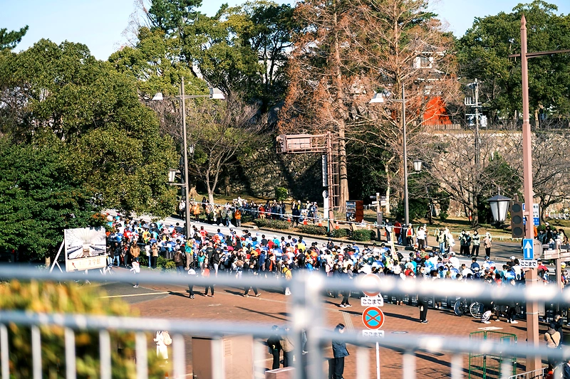 Afbeelding naarAcht van Langezwaag