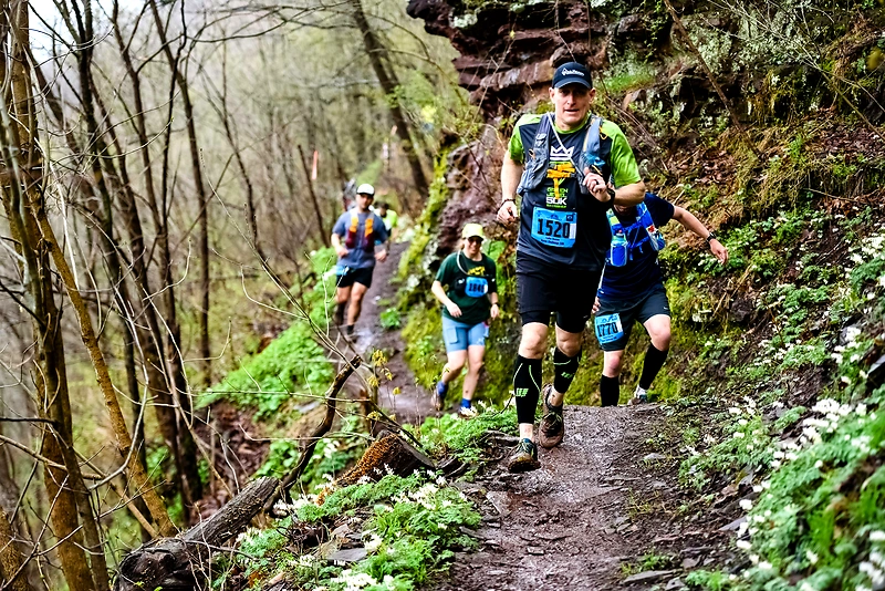 Runners during a road race, near the sea.