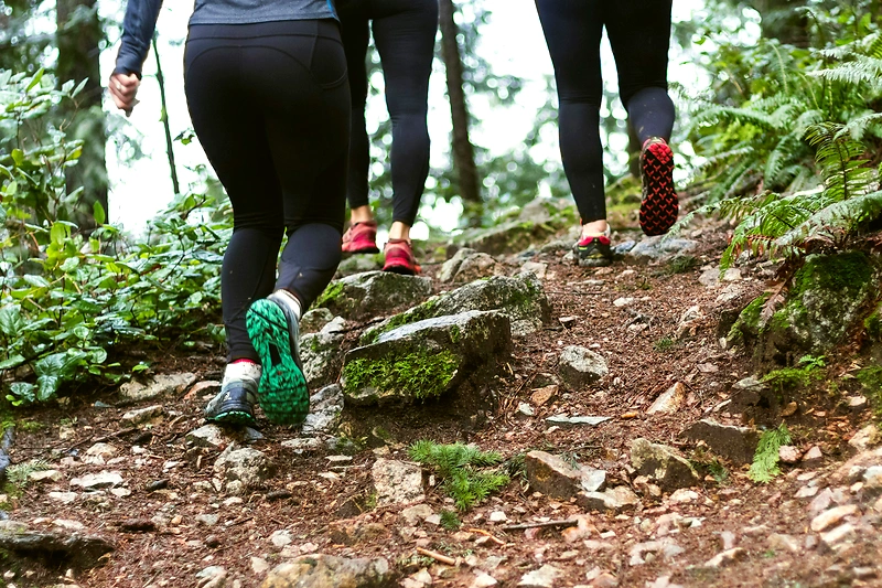 Runners in a wooded area during the Kievit Run.