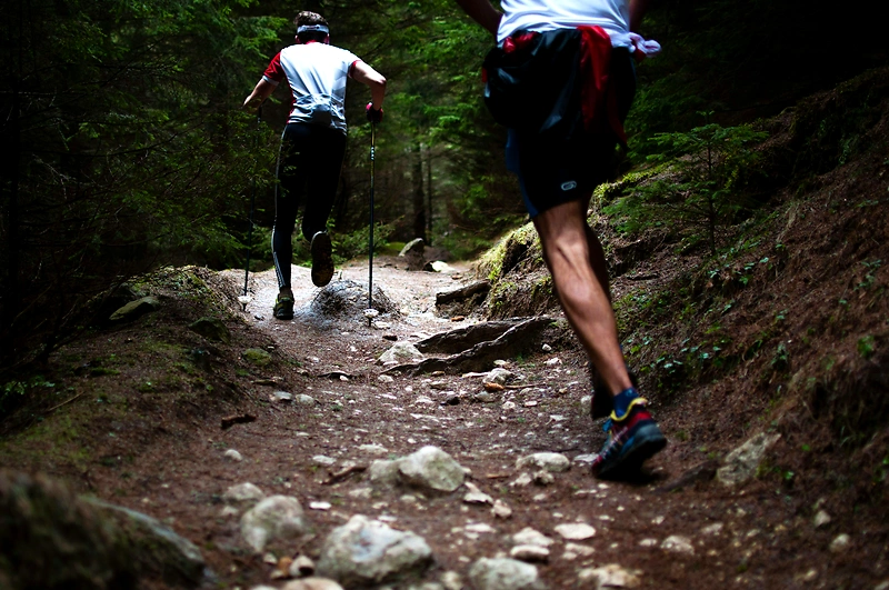 Runners in a wooded environment during a race.